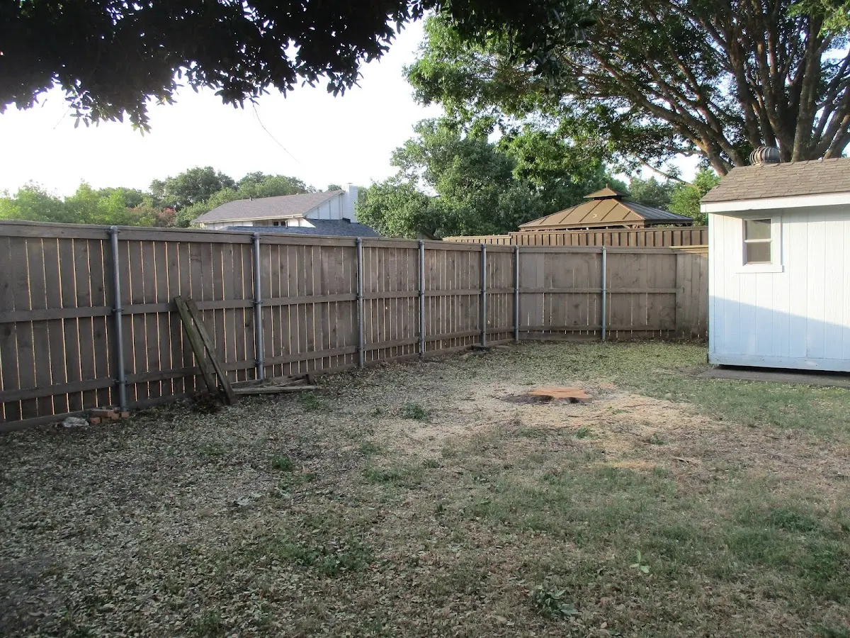 Cleared yard after professional tree removal in West Henrietta
