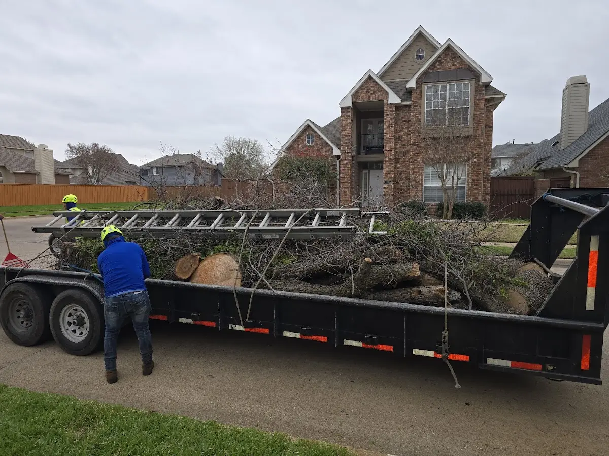 Expert Tree Fertilization with proper safety equipment in West Henrietta
